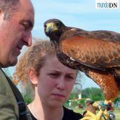 Halconeras de Sancho IV, en Funes