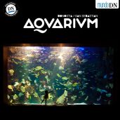 Aquarium de San Sebastian