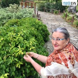 Aromaterapia Young Living