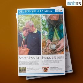 Del bosque a la mesa - Setas y Hongos