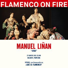 Sorteo de 2 entradas dobles - Flamenco on Fire - MANUEL LIÑAN