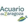 acuario zaragoza acuario zaragoza